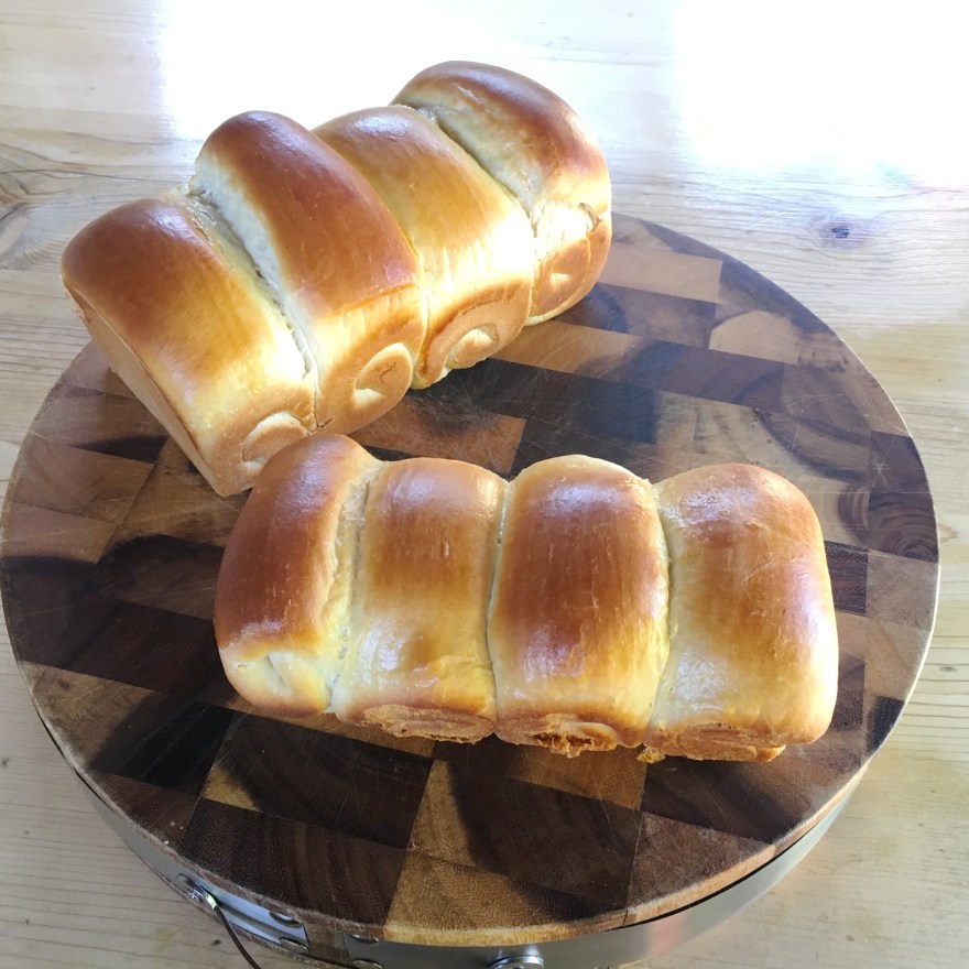 FullSizeRender 3.jpg